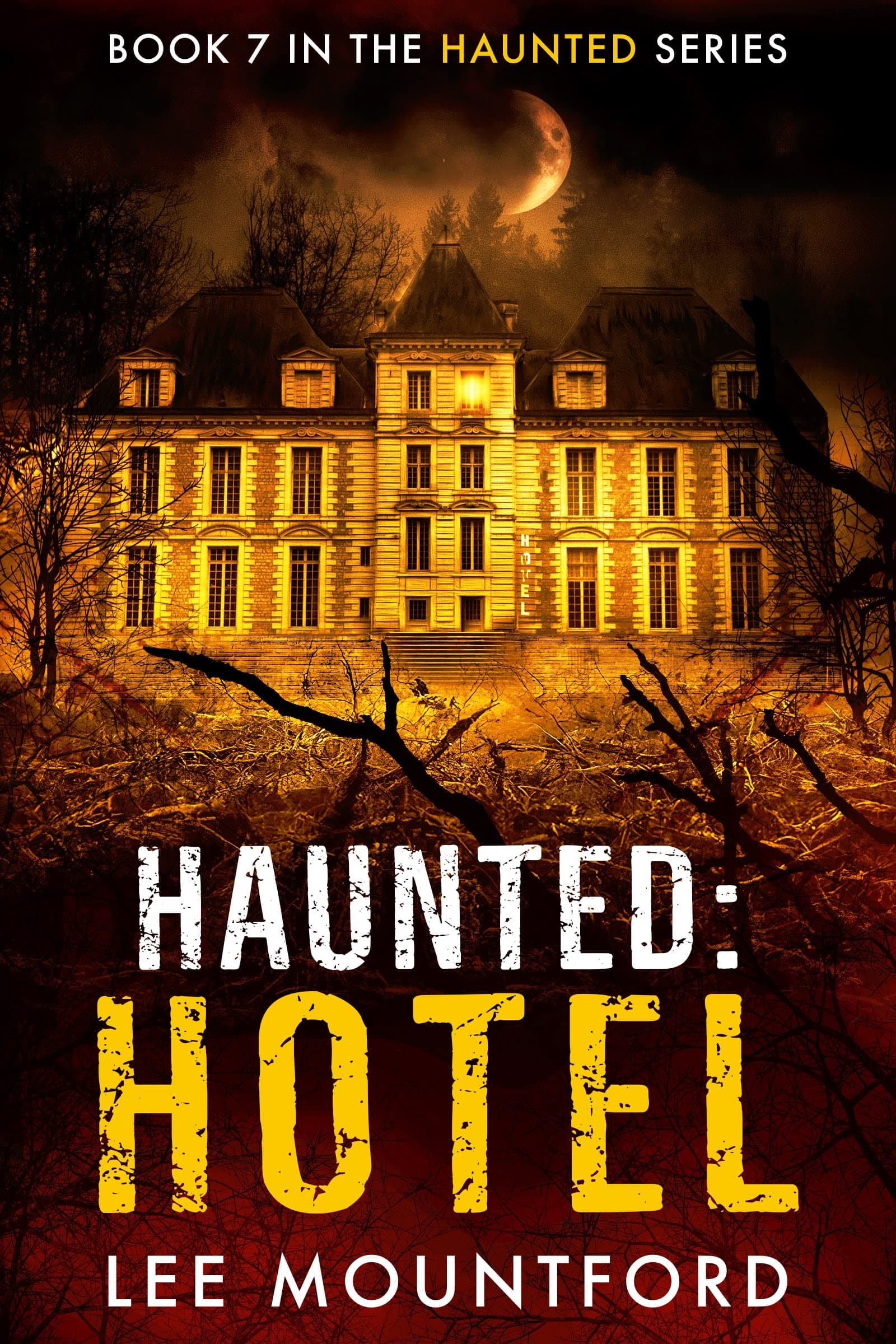 Haunted: Hotel book cover