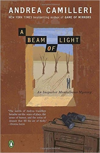 A Beam of Light book cover