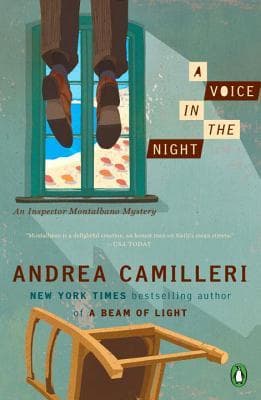 A Voice in the Night book cover