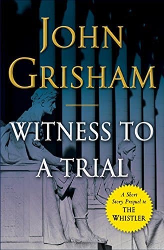 Witness to a Trial book cover