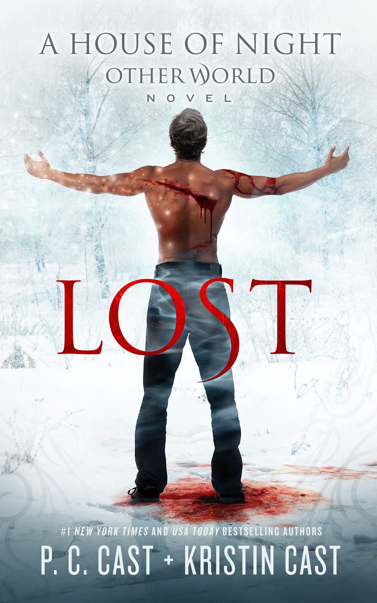 Lost book cover