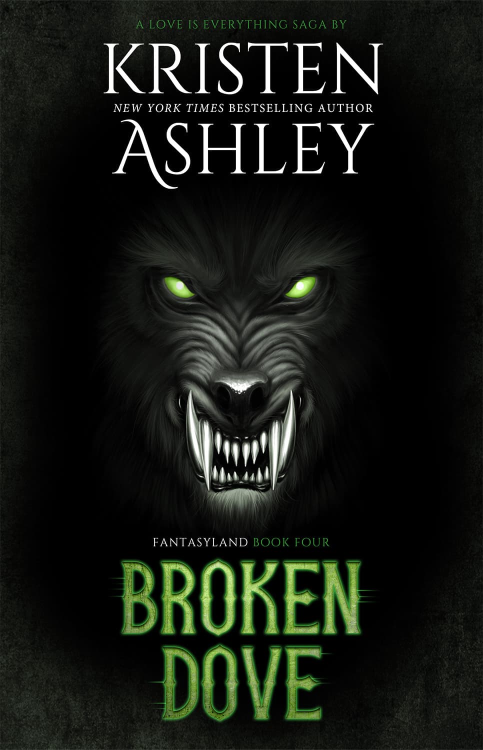 Broken Dove book cover