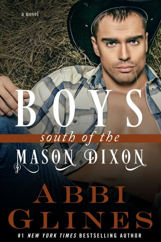 Boys South of the Mason Dixon book cover