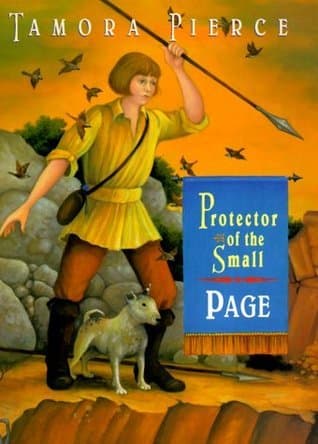 Page book cover