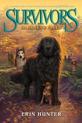 Darkness Falls book cover