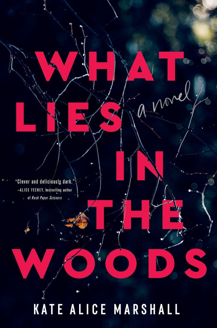 What Lies in the Woods book cover