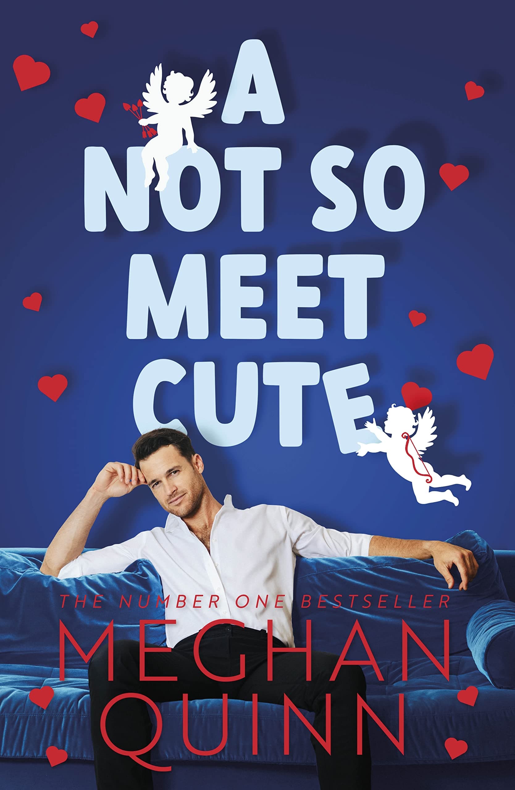 A Not So Meet Cute book cover