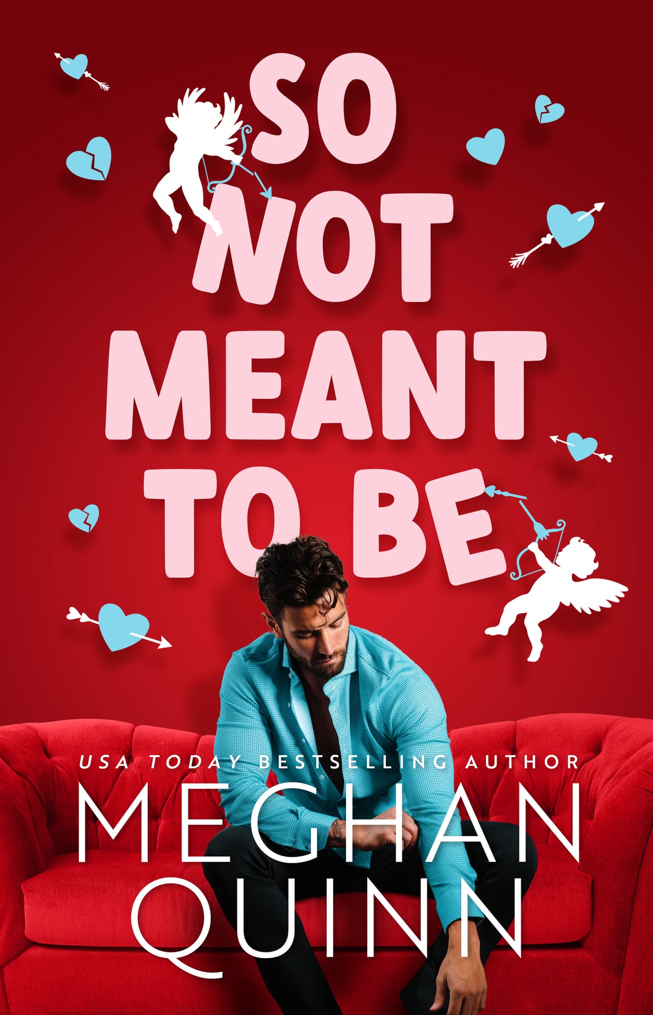 So Not Meant To Be book cover