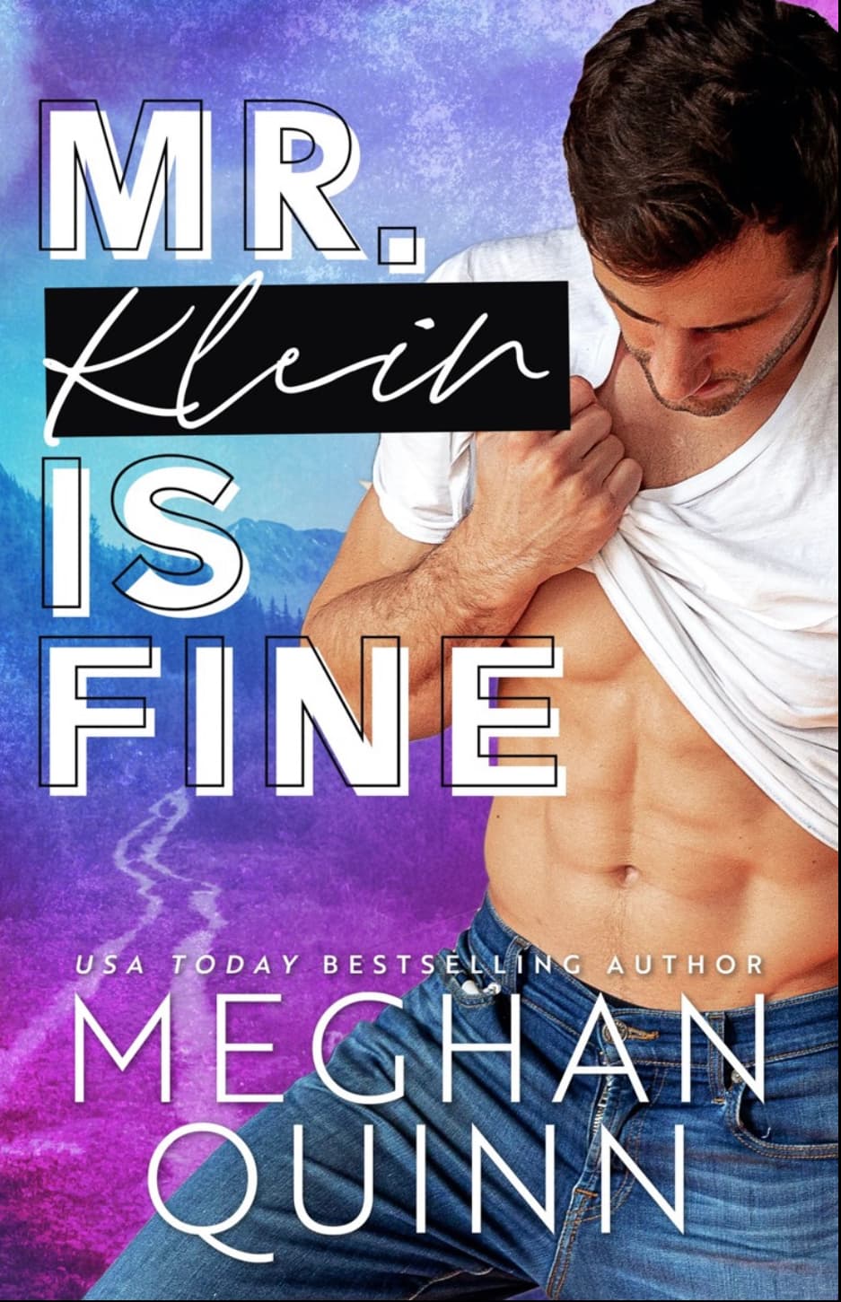 Mr. Klein is Fine book cover