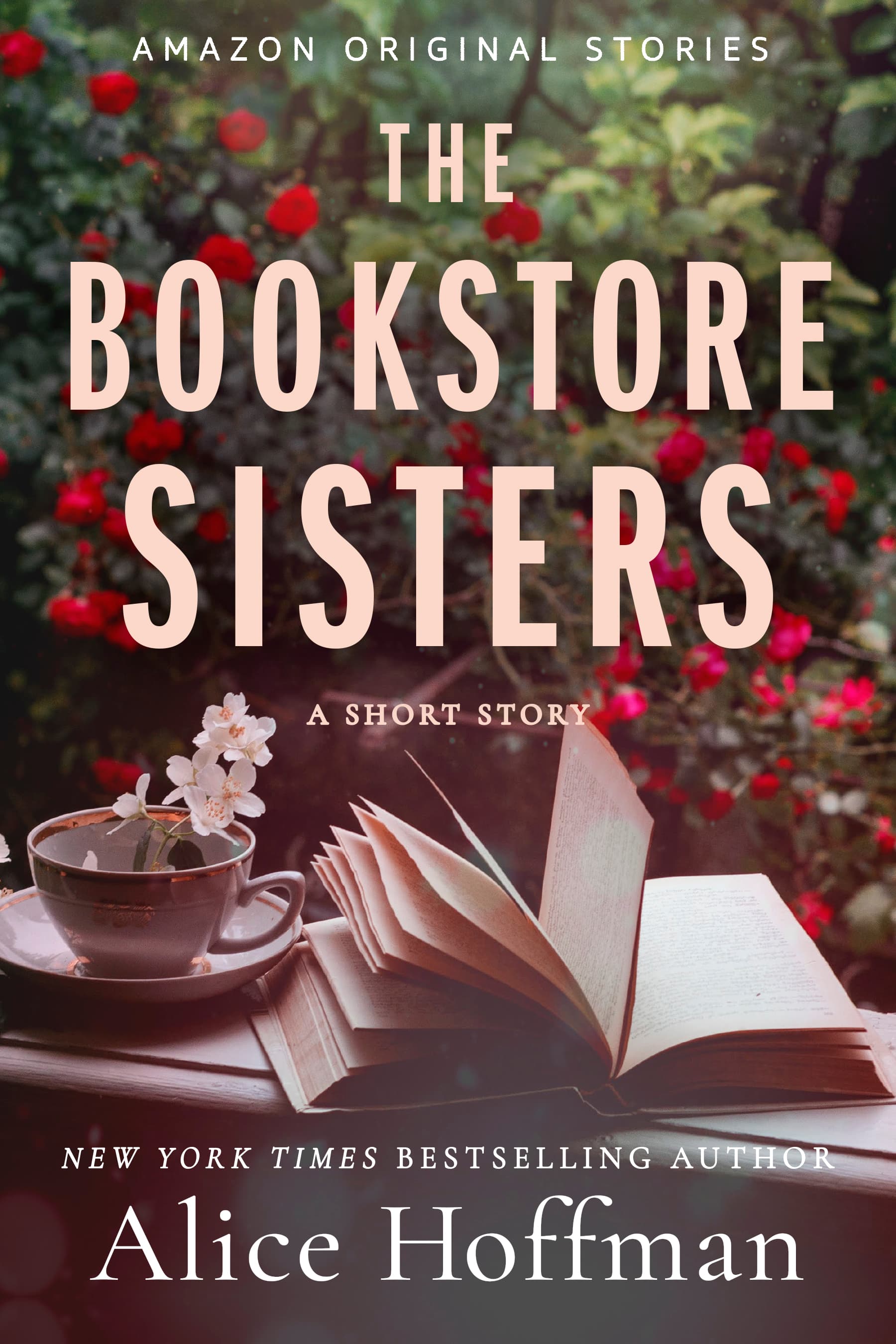 The Bookstore Sisters book cover