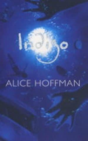 Indigo book cover