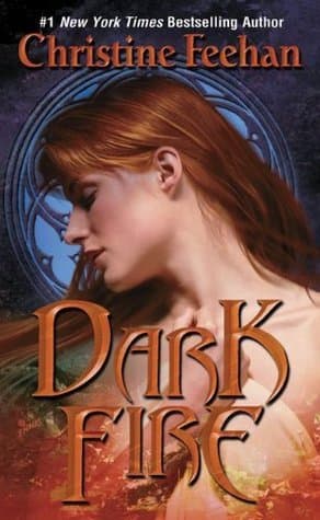 Dark Fire book cover