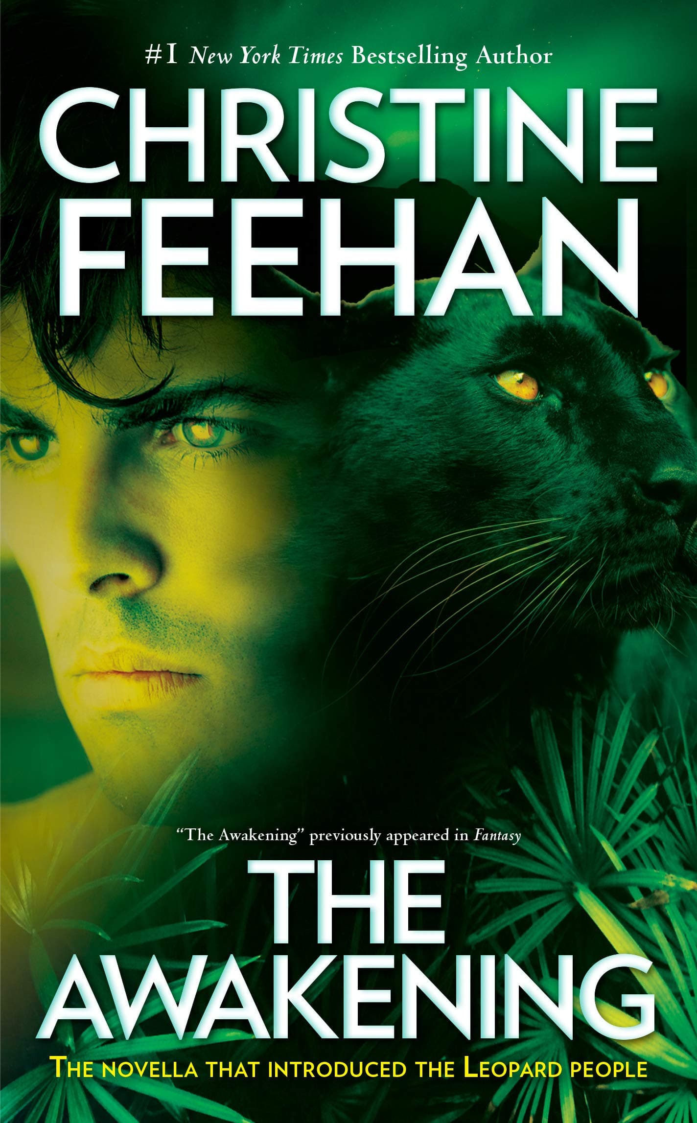The Awakening book cover