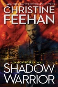 Shadow Warrior book cover