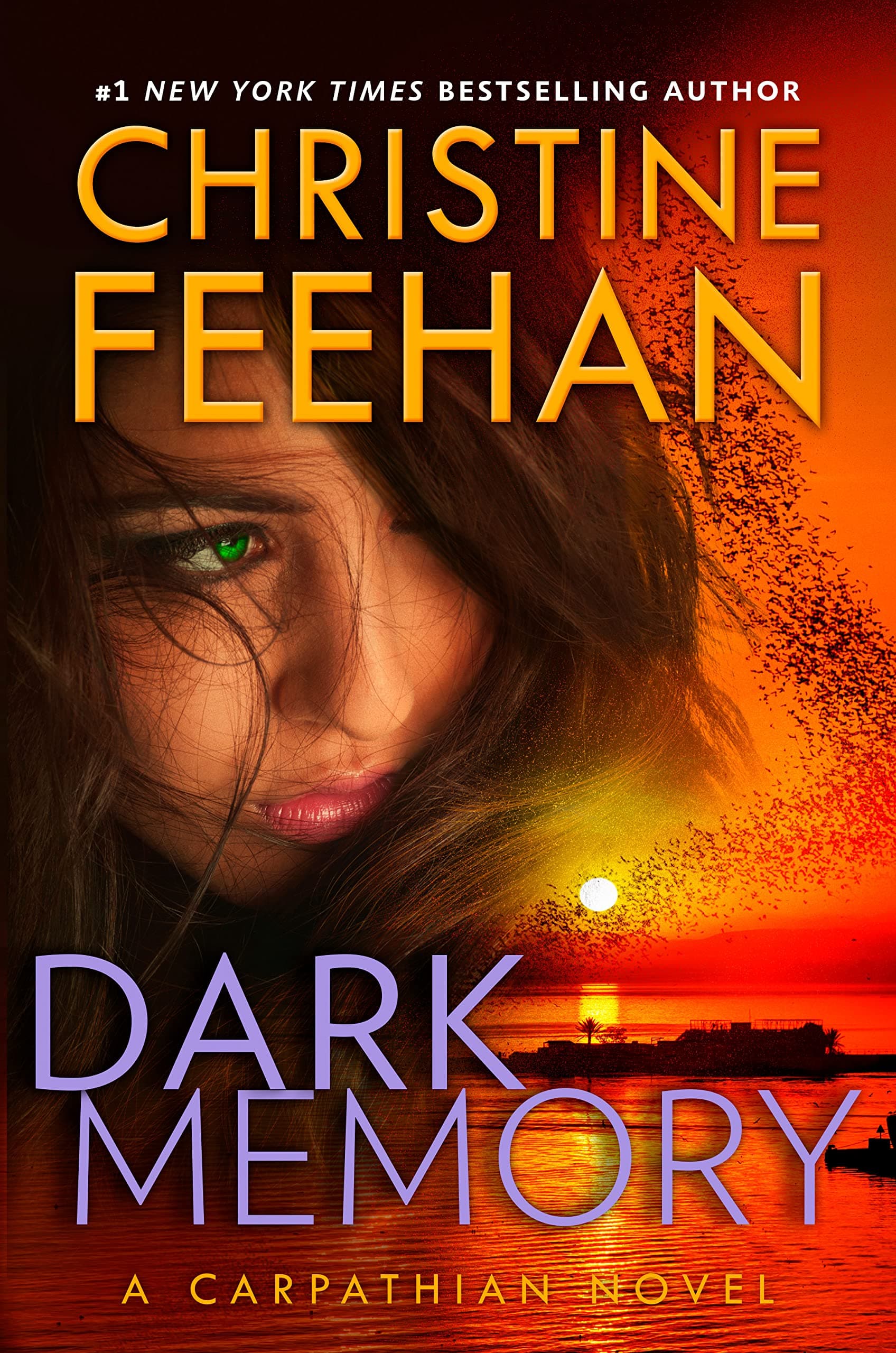 Dark Memory book cover
