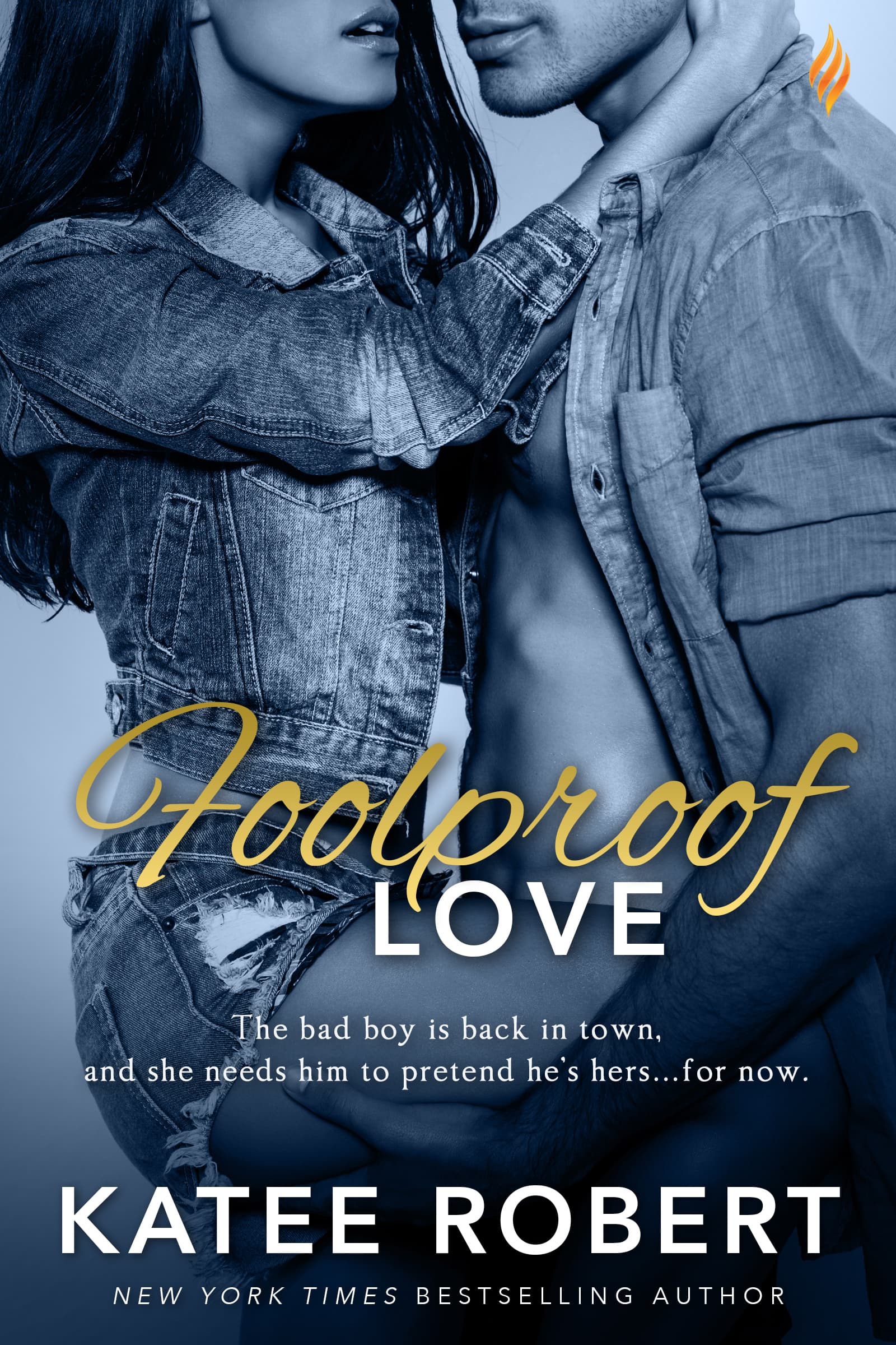 Foolproof Love book cover
