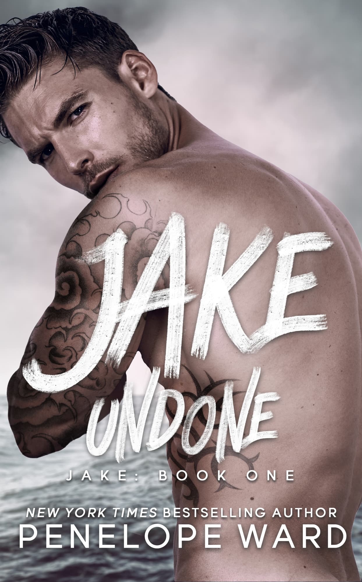 Jake Undone book cover