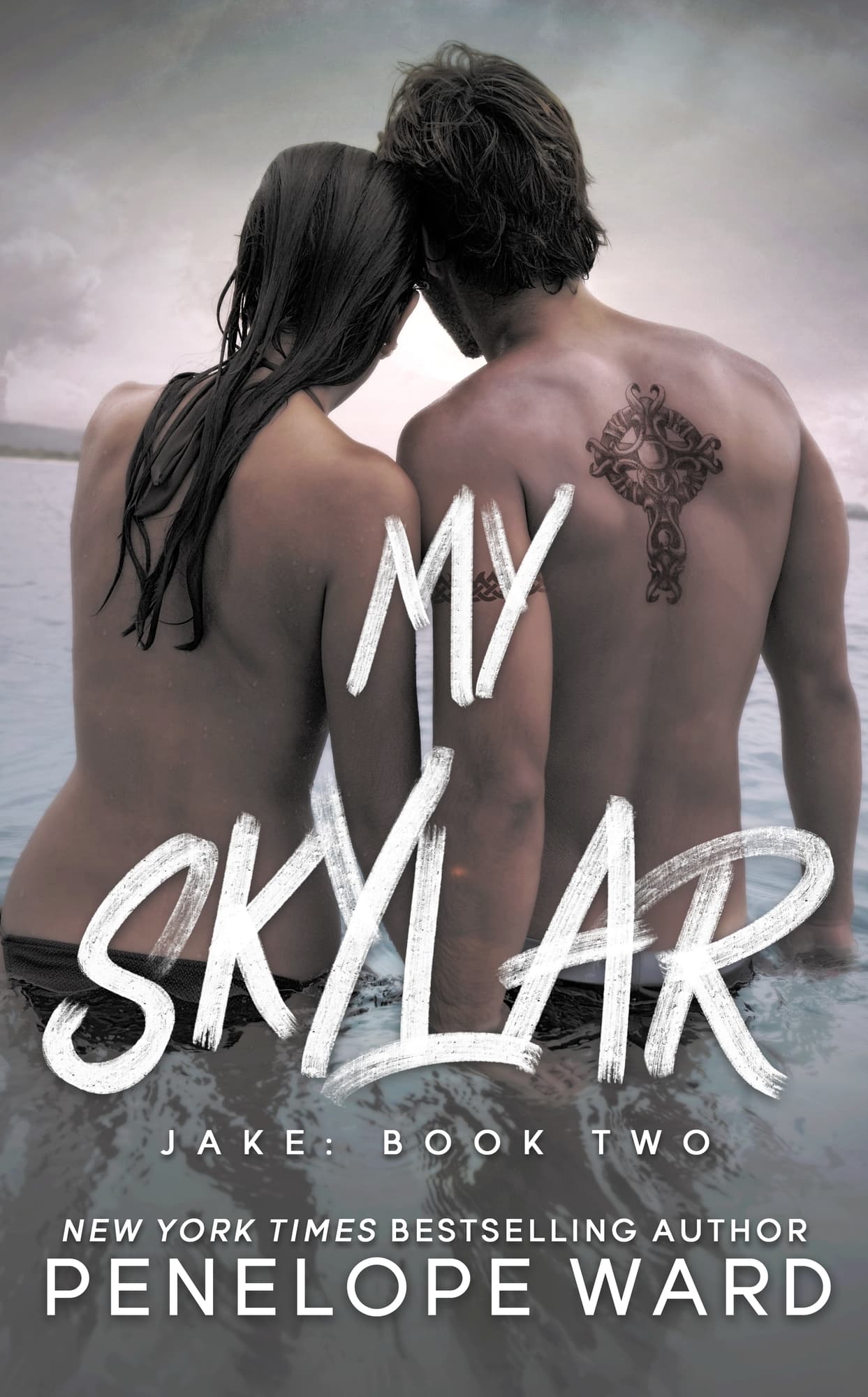 My Skylar book cover