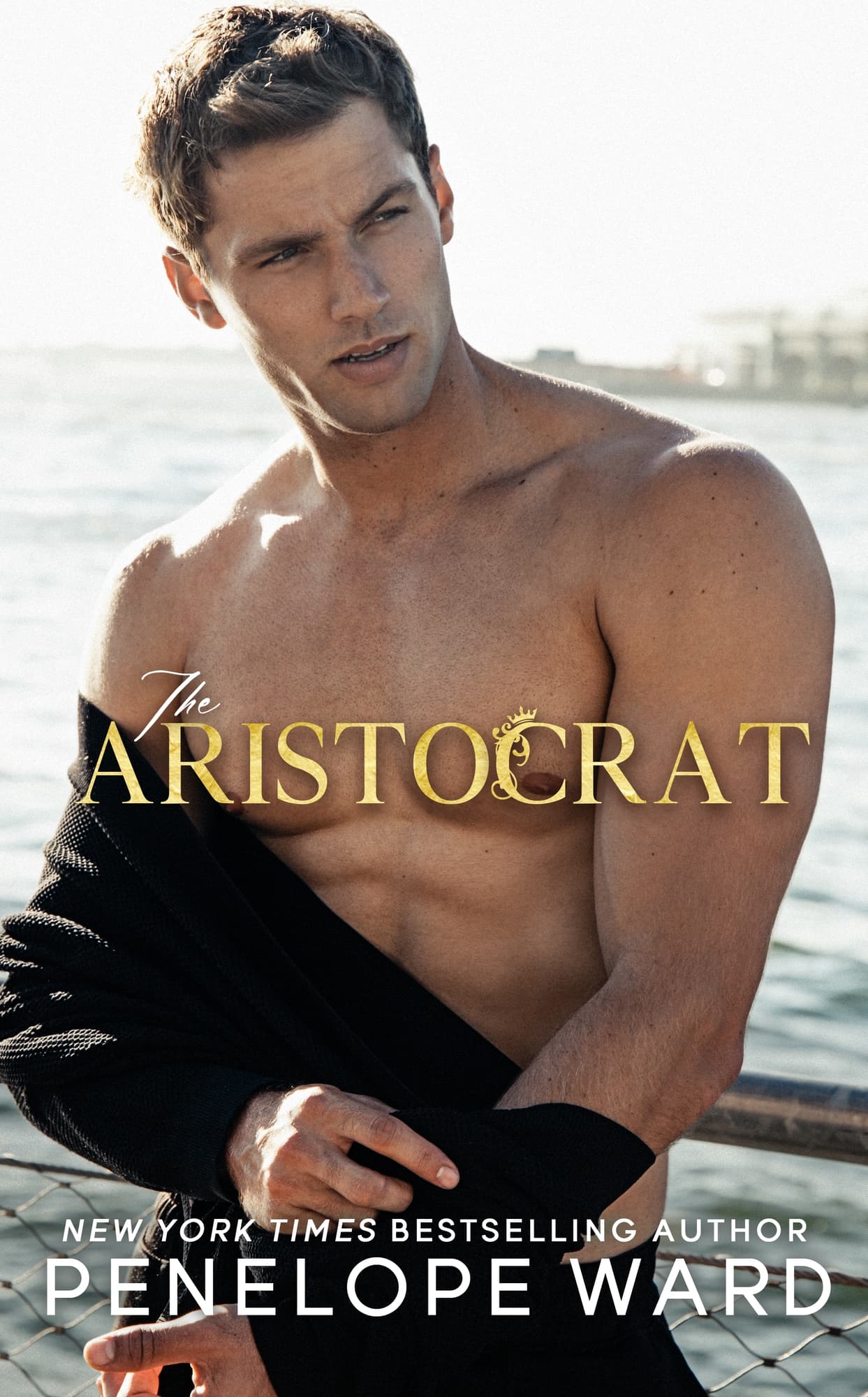 The Aristocrat book cover