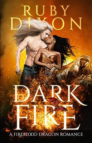 Dark Fire book cover