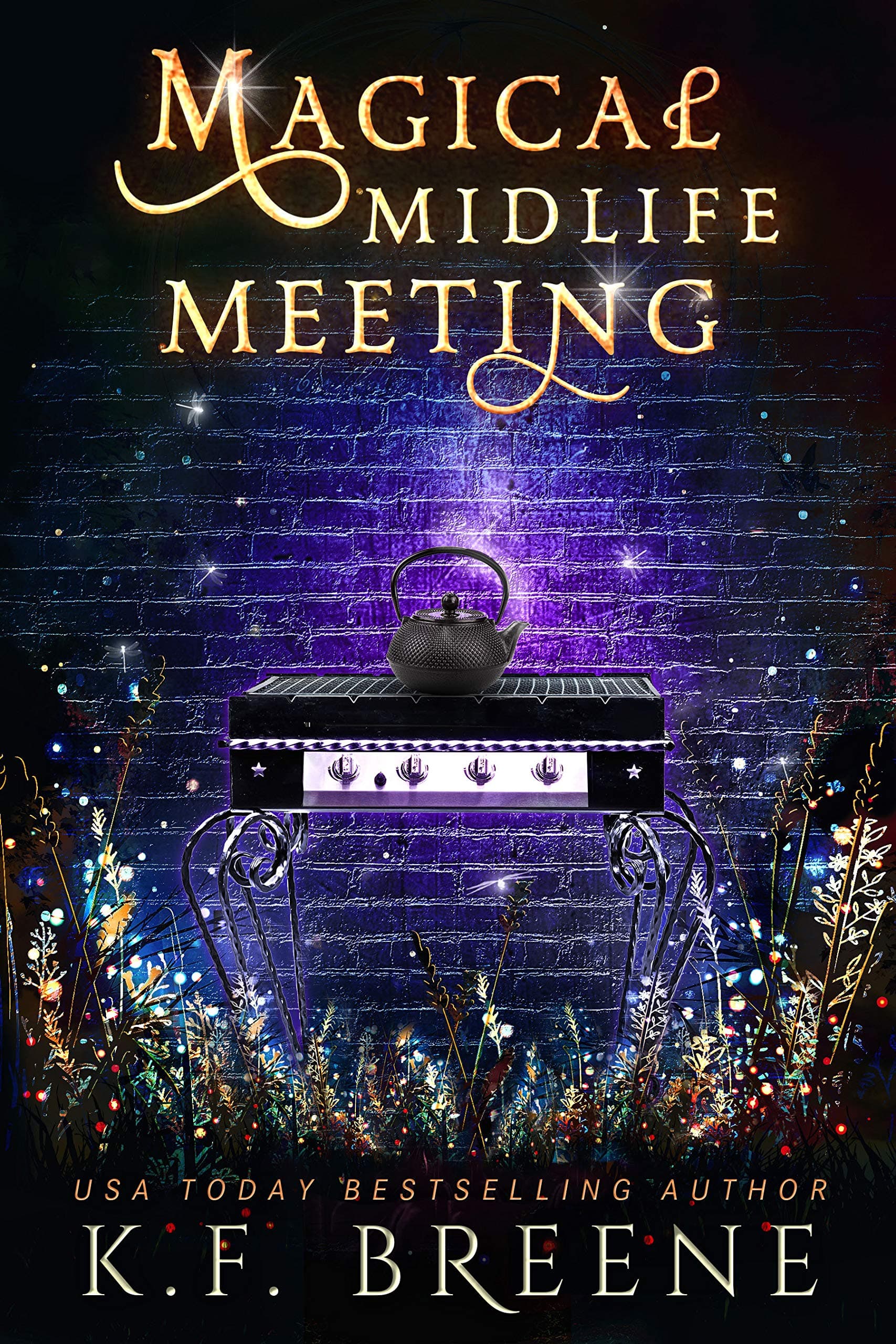 Magical Midlife Meeting book cover