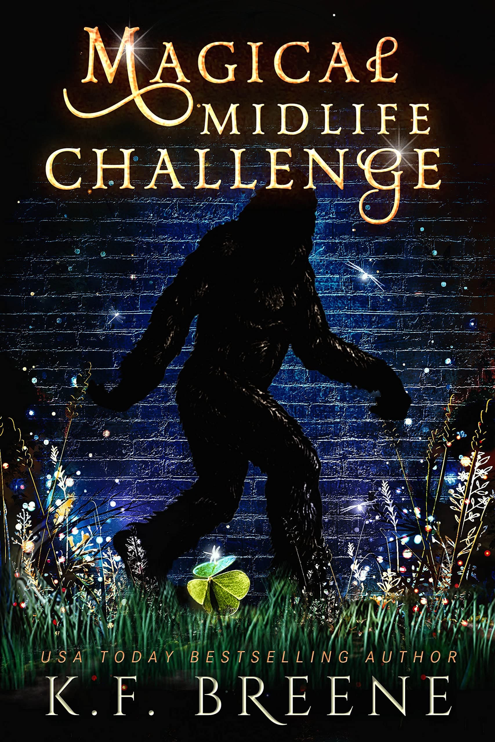 Magical Midlife Challenge book cover