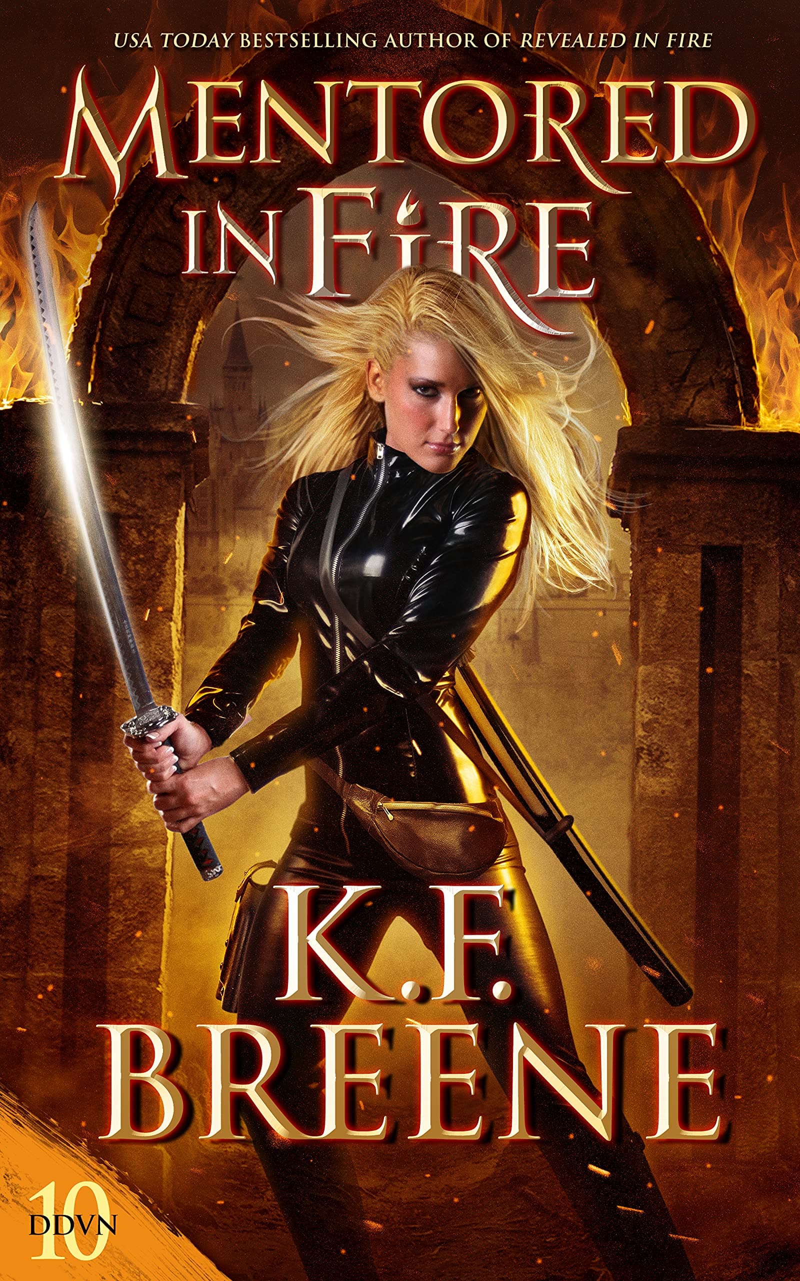 Mentored in Fire book cover