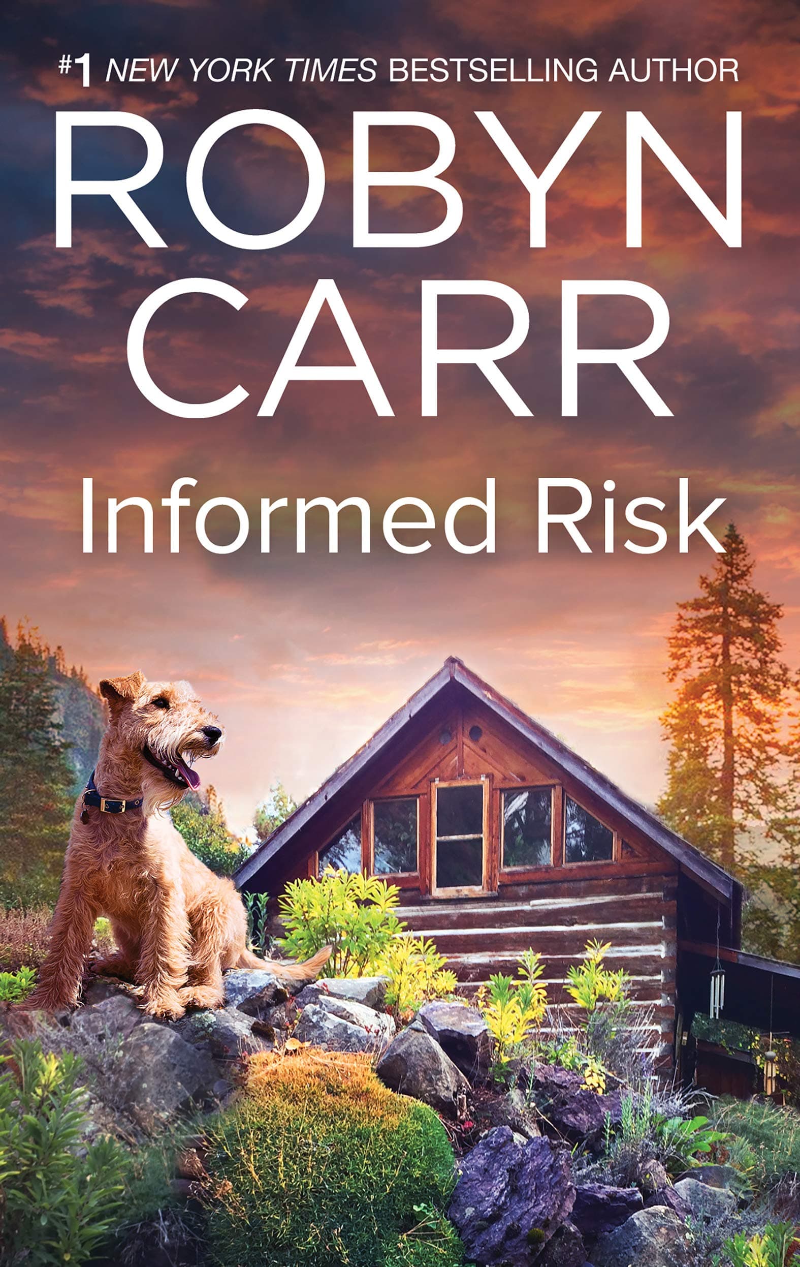 Informed Risk book cover