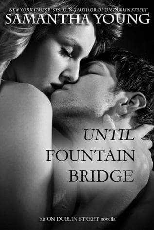 Until Fountain Bridge book cover