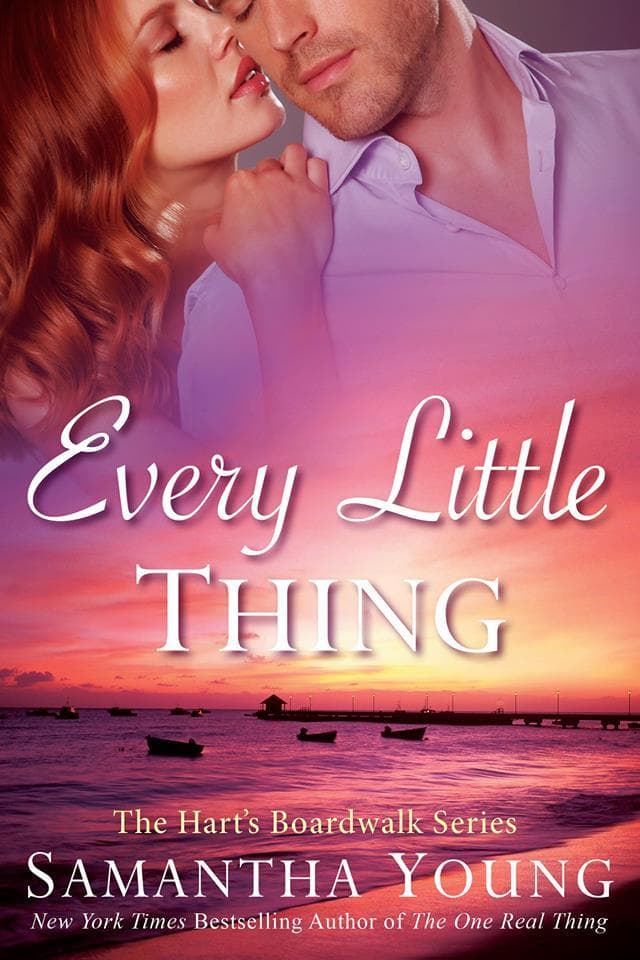 Every Little Thing book cover