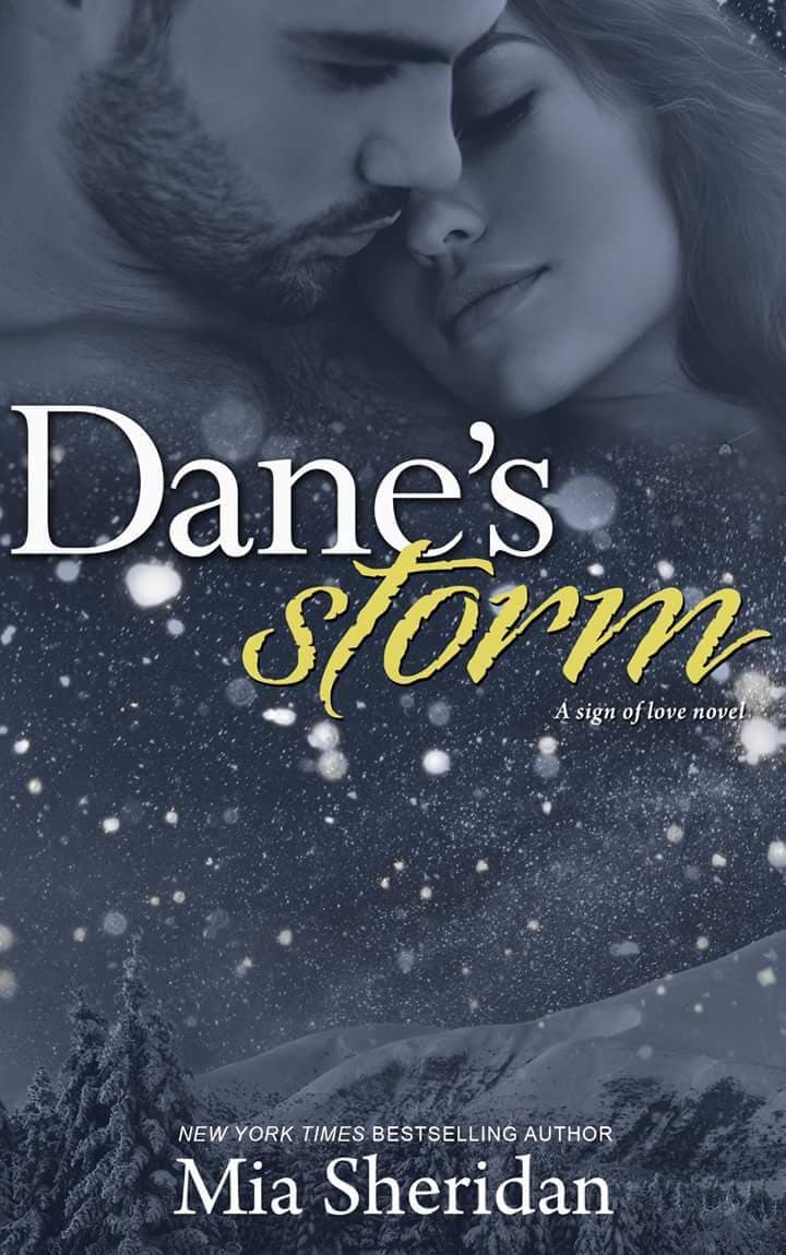 Dane's Storm book cover