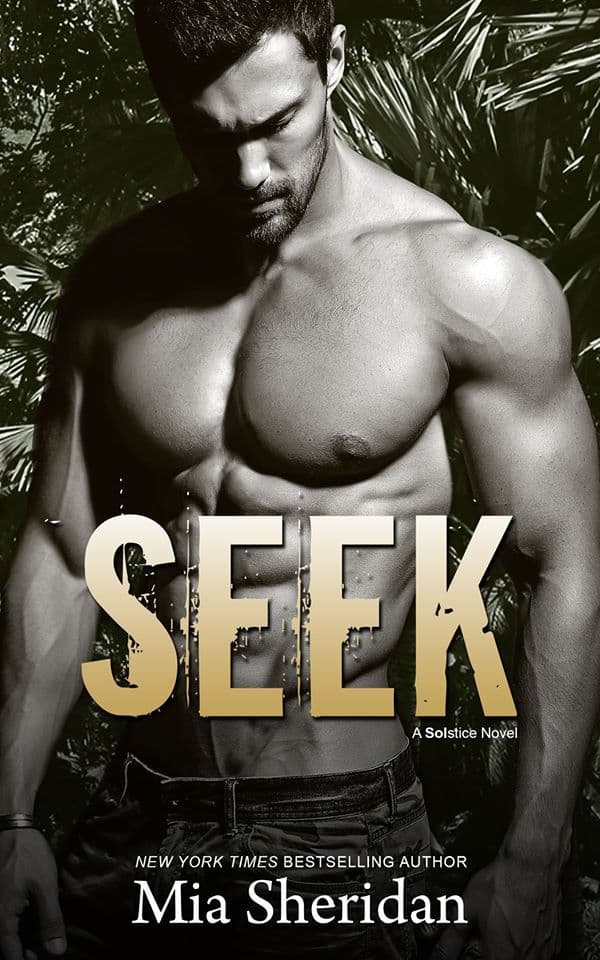 Seek book cover