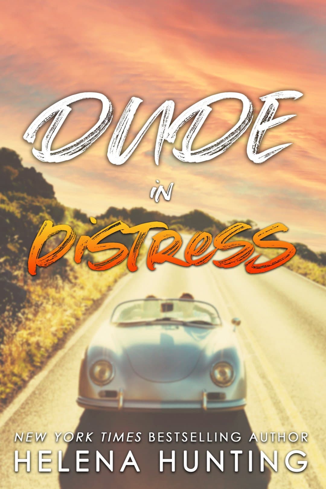 Dude in Distress book cover