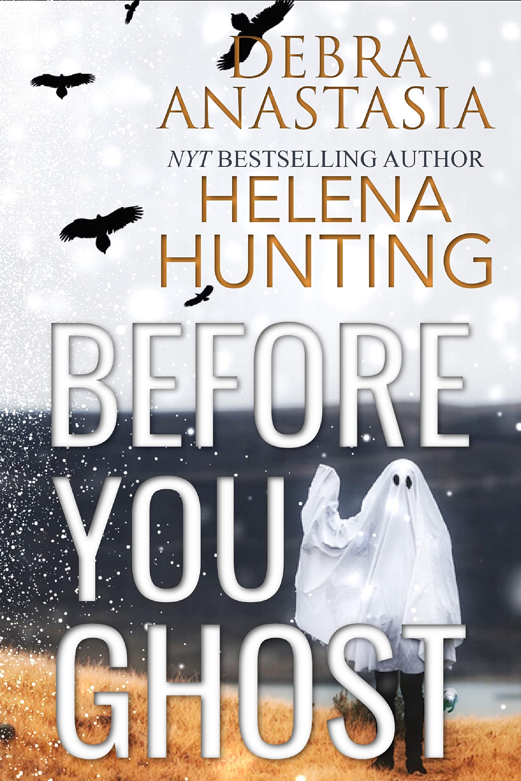 Before You Ghost book cover