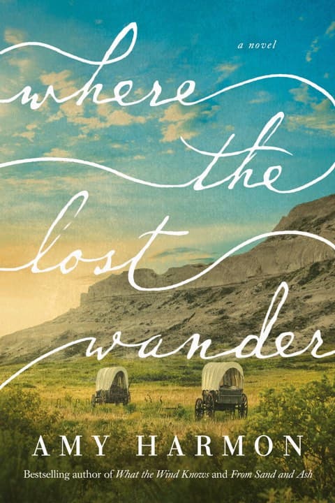 Where the Lost Wander book cover