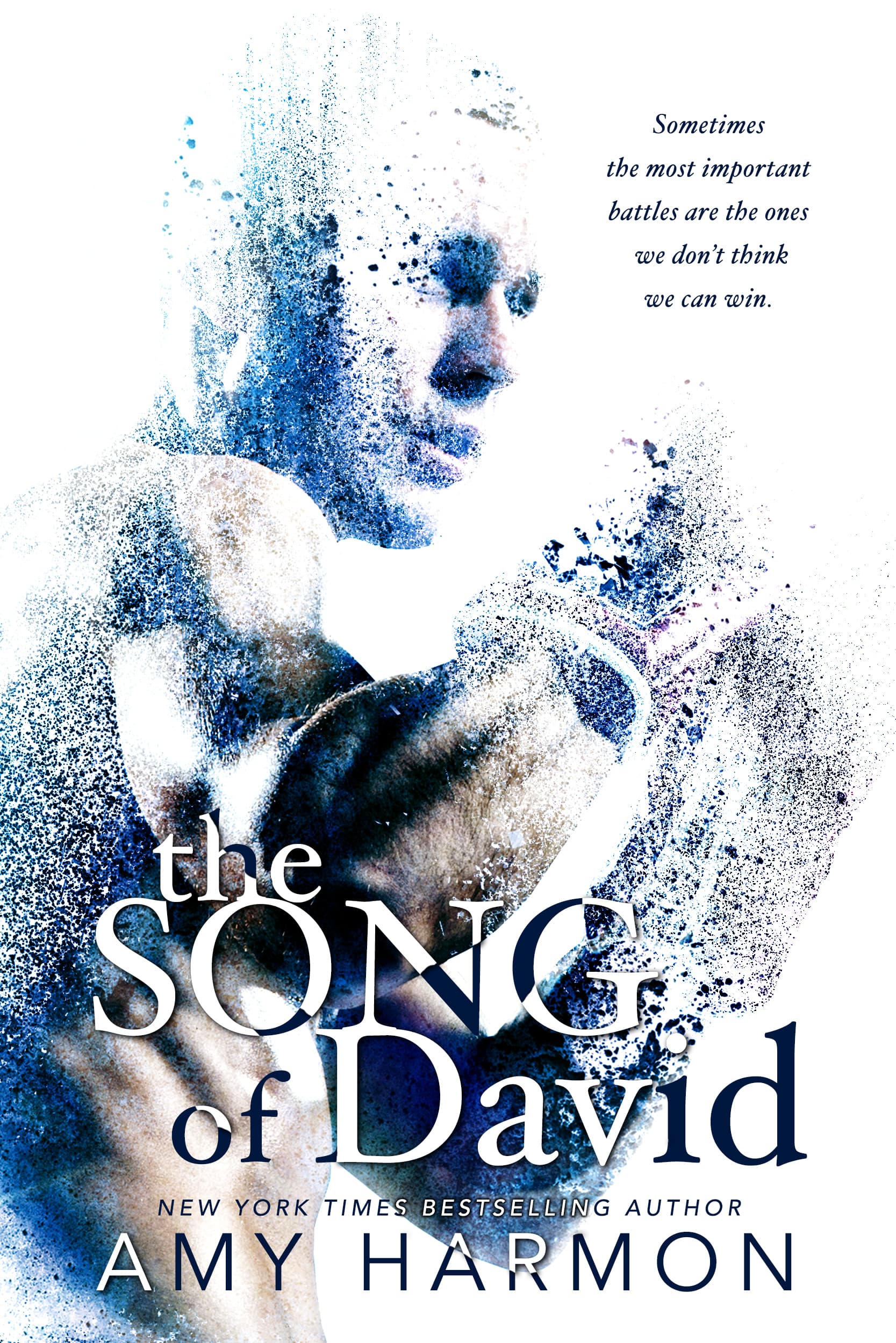 The Song of David book cover