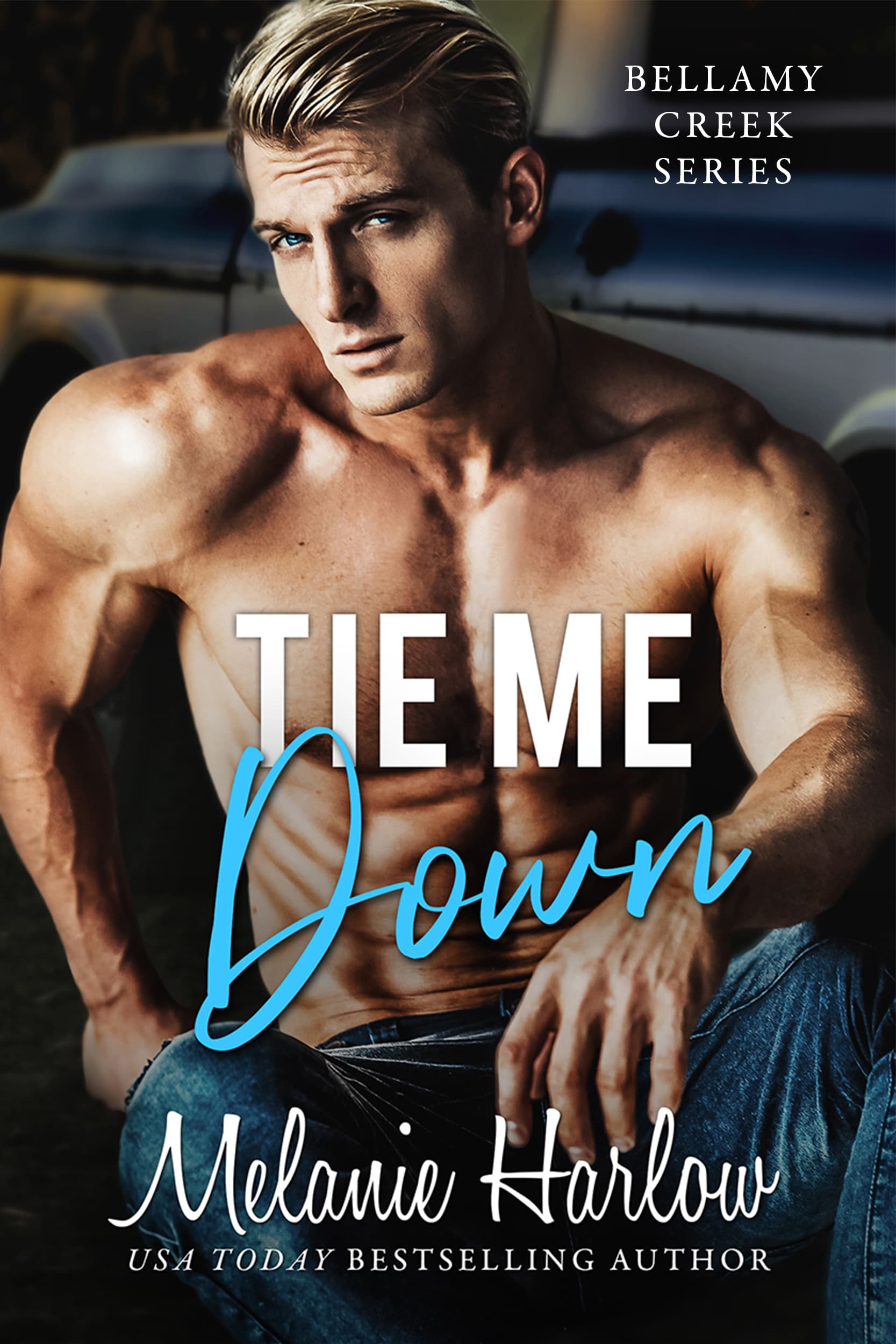 Tie Me Down book cover