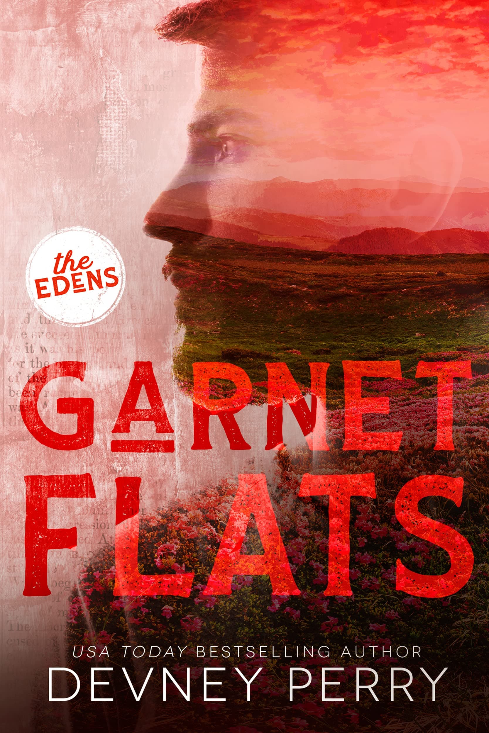 Garnet Flats book cover
