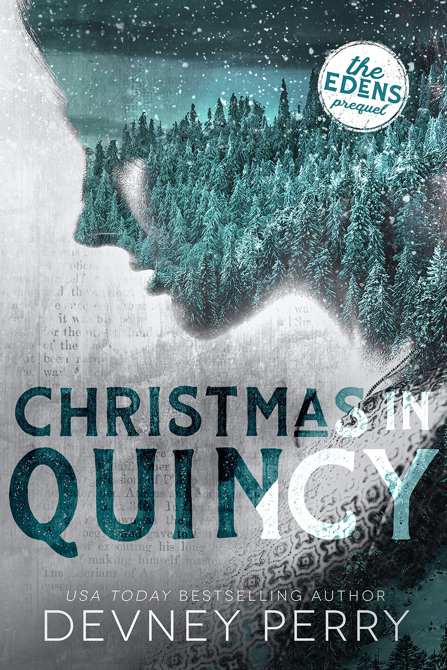 Christmas in Quincy book cover