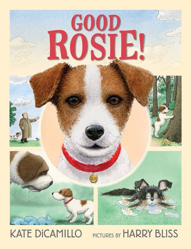 Good Rosie book cover