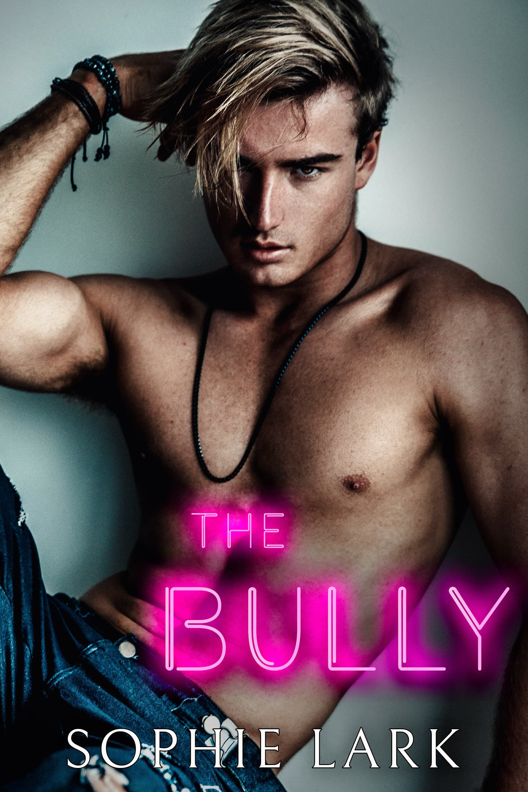 The Bully book cover