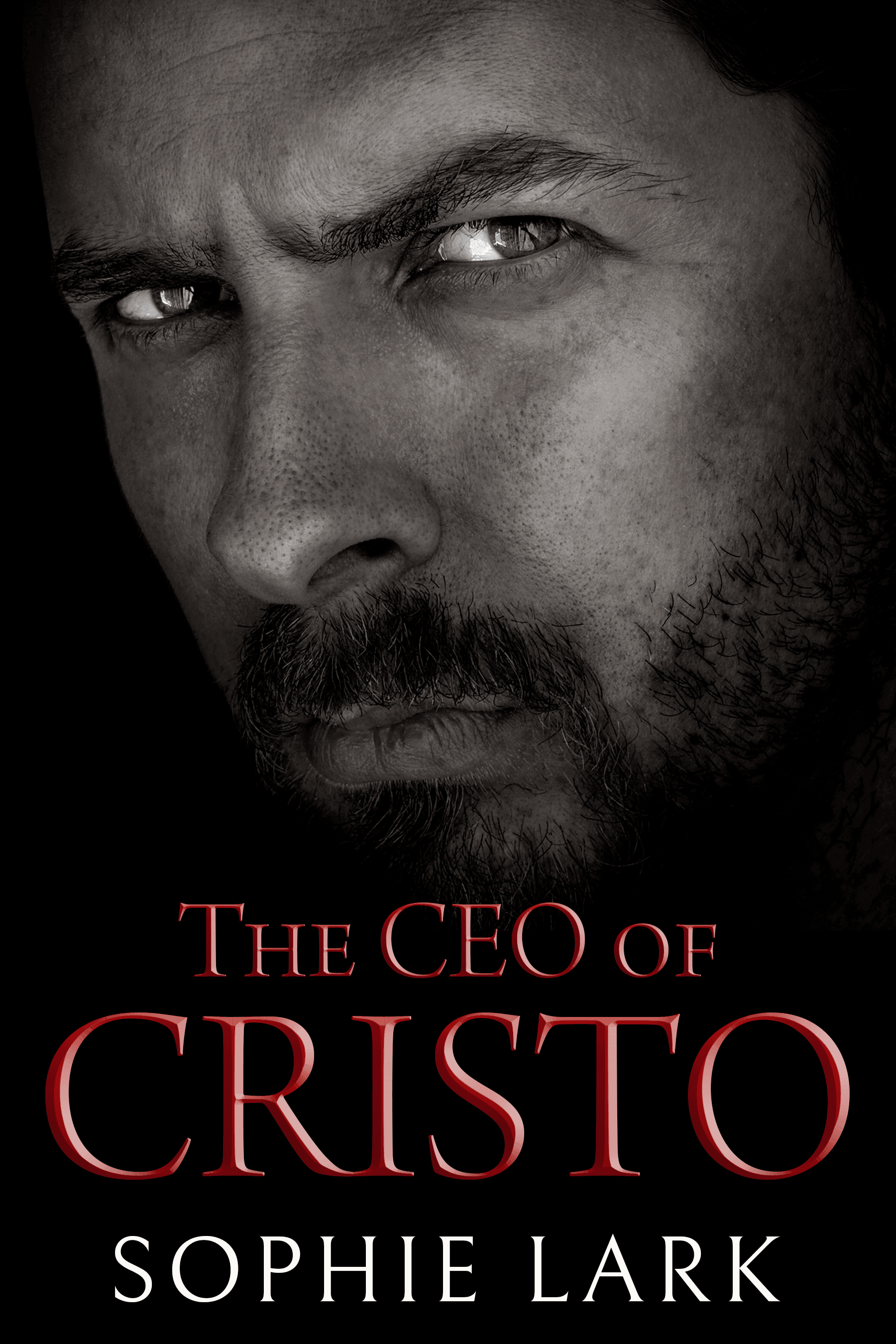 The CEO of Cristo book cover