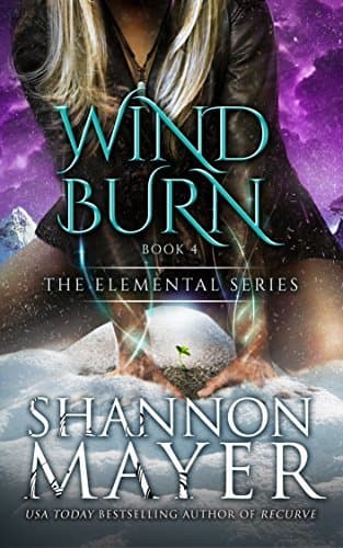 Windburn book cover