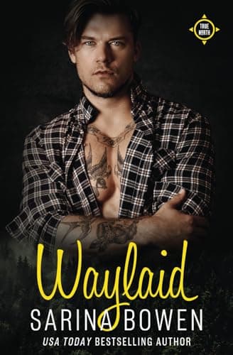 Waylaid book cover