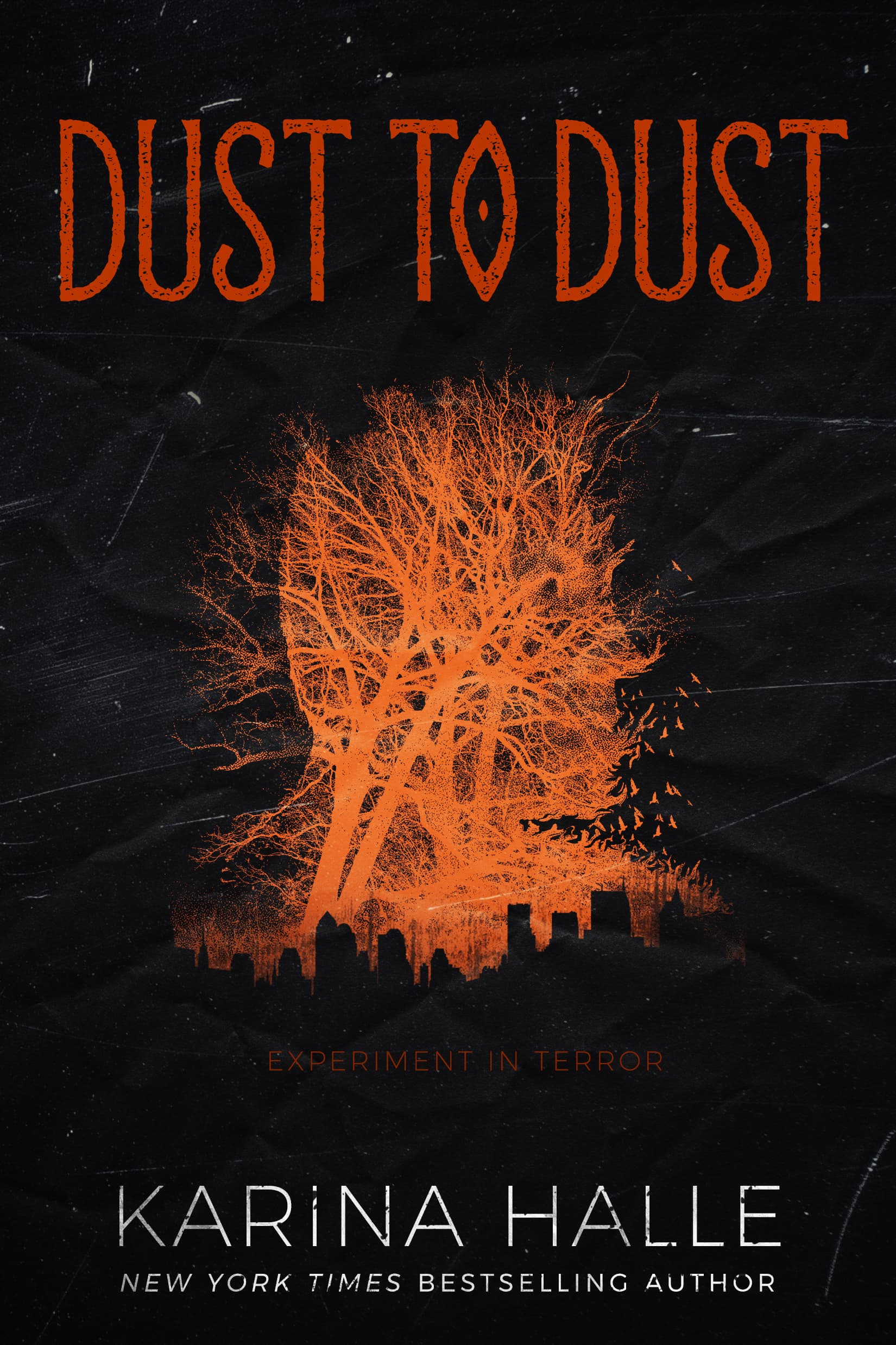 Dust to Dust book cover