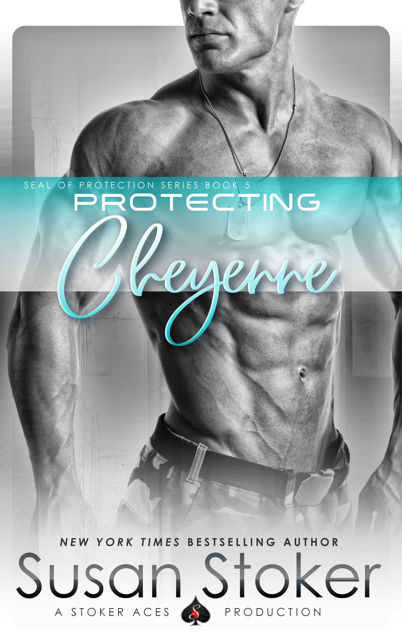 Protecting Cheyenne book cover