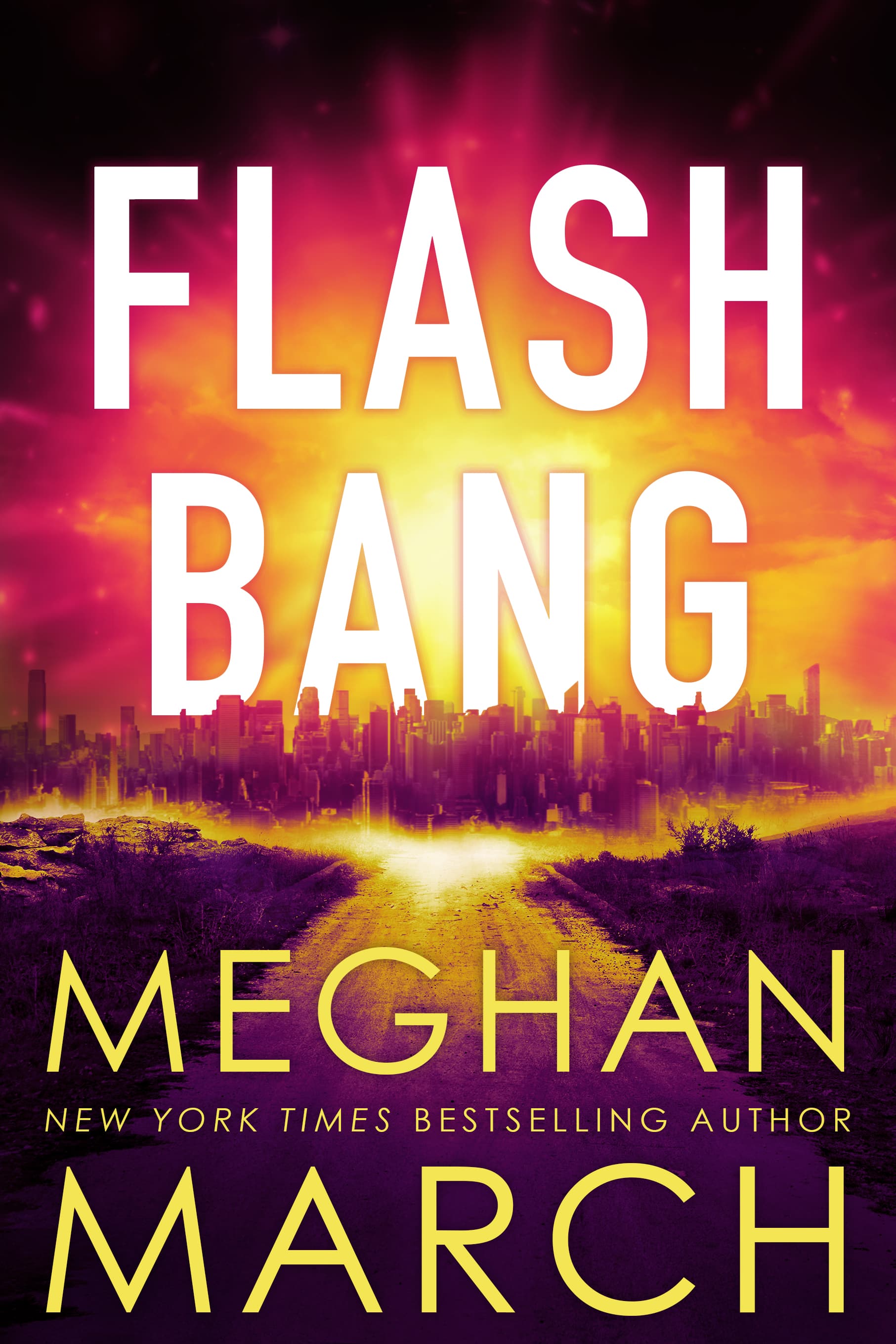 Flash Bang book cover