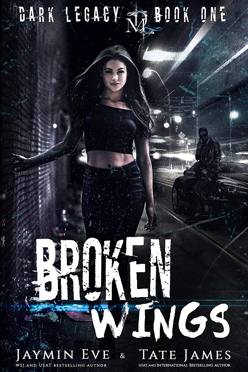 Broken Wings book cover