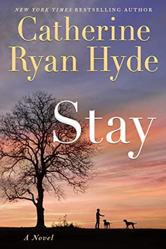 Stay book cover