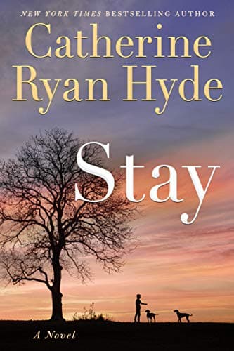 Stay